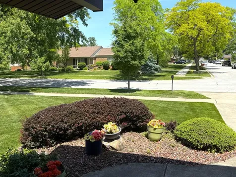 8733 Golfview Drive Orland Park IL 60462