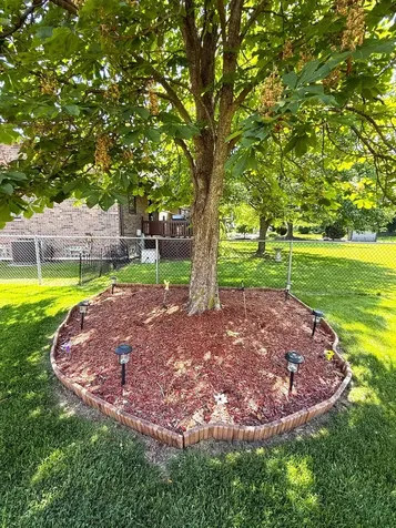 8733 Golfview Drive Orland Park IL 60462
