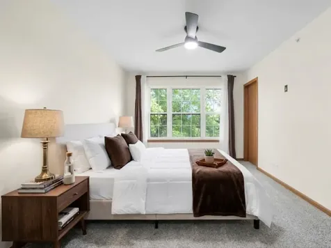 452 Blue Springs Drive Fox Lake IL 60020