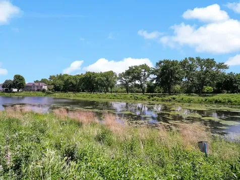 452 Blue Springs Drive Fox Lake IL 60020