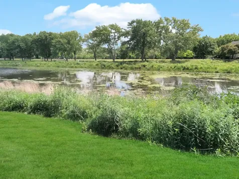 452 Blue Springs Drive Fox Lake IL 60020