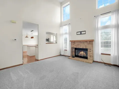 452 Blue Springs Drive Fox Lake IL 60020