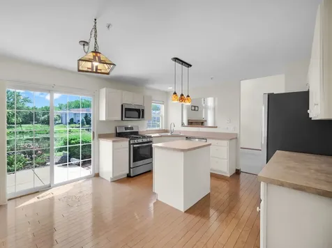 452 Blue Springs Drive Fox Lake IL 60020