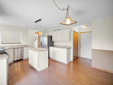 452 Blue Springs Drive Fox Lake IL 60020