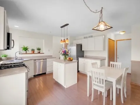 452 Blue Springs Drive Fox Lake IL 60020