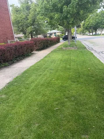 701 South La Grange Road La Grange IL 60525