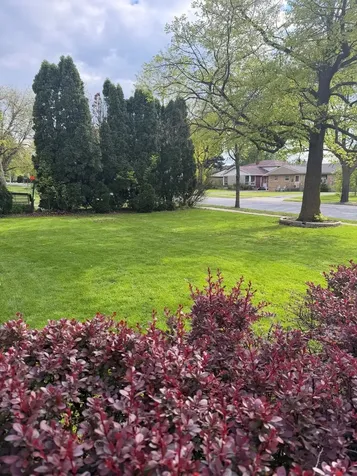 701 South La Grange Road La Grange IL 60525