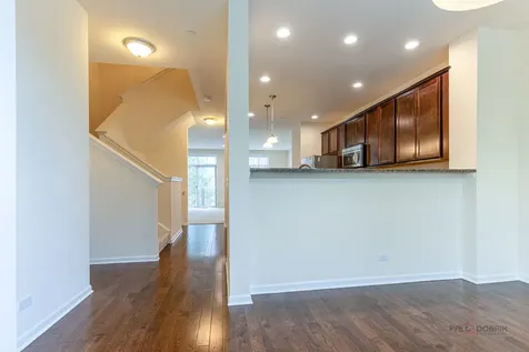 409 Alpine Springs Drive Vernon Hills IL 60061