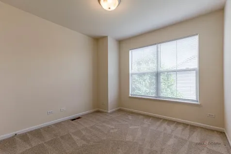 409 Alpine Springs Drive Vernon Hills IL 60061
