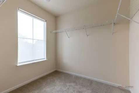 409 Alpine Springs Drive Vernon Hills IL 60061