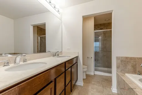409 Alpine Springs Drive Vernon Hills IL 60061