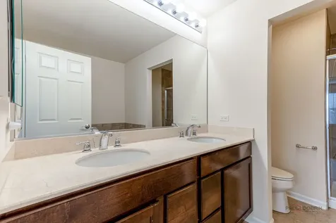 409 Alpine Springs Drive Vernon Hills IL 60061