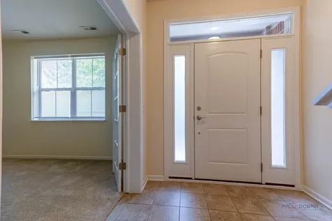 409 Alpine Springs Drive Vernon Hills IL 60061
