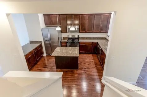 409 Alpine Springs Drive Vernon Hills IL 60061