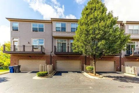 409 Alpine Springs Drive Vernon Hills IL 60061