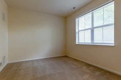 409 Alpine Springs Drive Vernon Hills IL 60061
