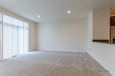 409 Alpine Springs Drive Vernon Hills IL 60061