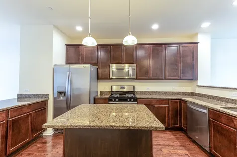 409 Alpine Springs Drive Vernon Hills IL 60061