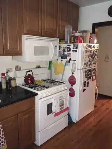 4208 North Leavitt Street Chicago IL 60618