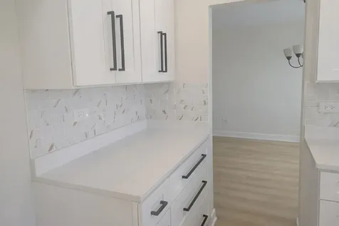 7 Blue Jay Court Woodridge IL 60517