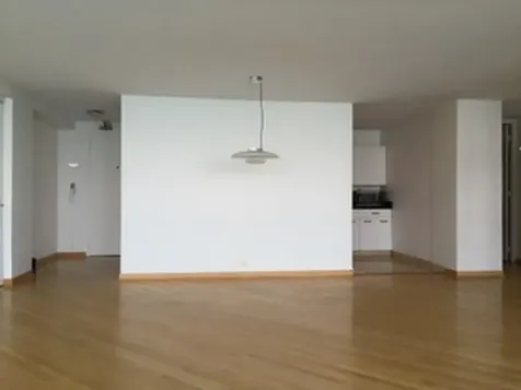 910 North Lake Shore Drive Chicago IL 60611