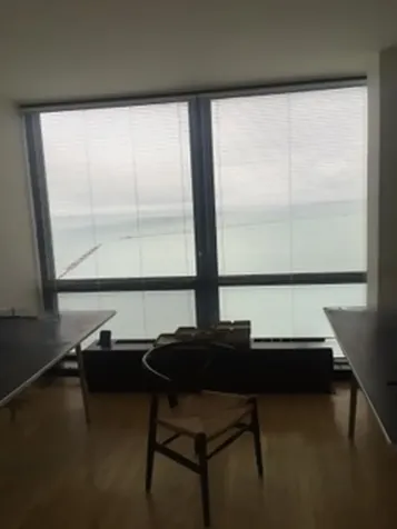 910 North Lake Shore Drive Chicago IL 60611