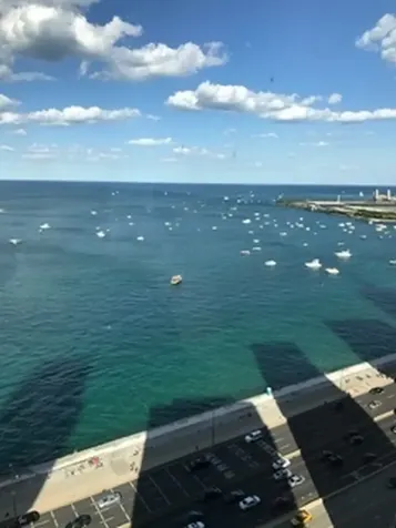 910 North Lake Shore Drive Chicago IL 60611
