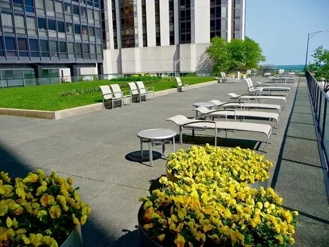 910 North Lake Shore Drive Chicago IL 60611