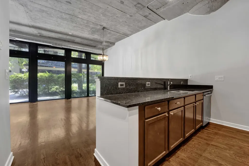 1111 West 14th Place Chicago IL 60608