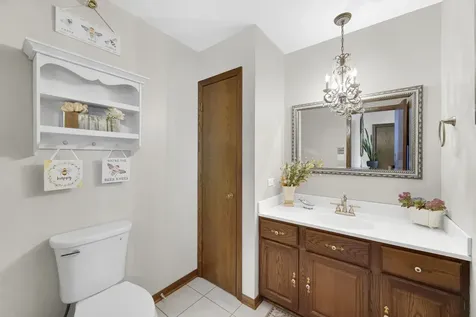 13036 Meadowlark Court Homer Glen IL 60491
