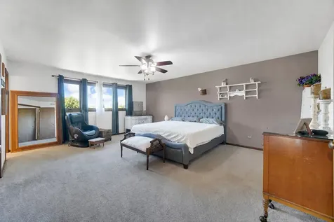13036 Meadowlark Court Homer Glen IL 60491