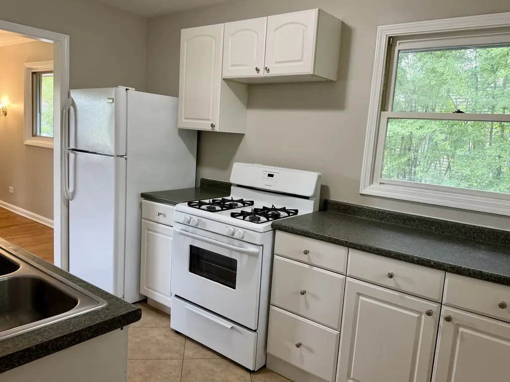 12 Johnathan Road Lake Zurich IL 60047