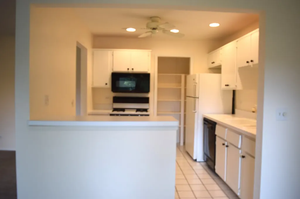 285 Mayfair Lane Schaumburg IL 60193