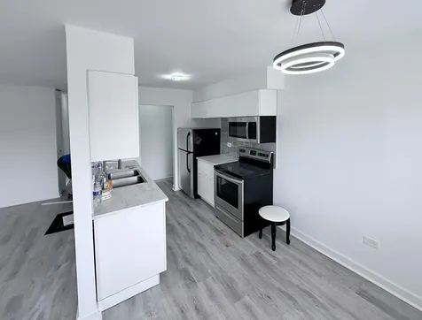 8649 West Foster Avenue Chicago IL 60656