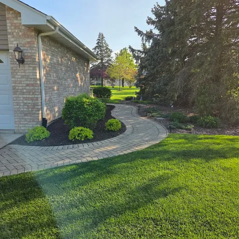 3204 Hickory Creek Drive New Lenox IL 60451