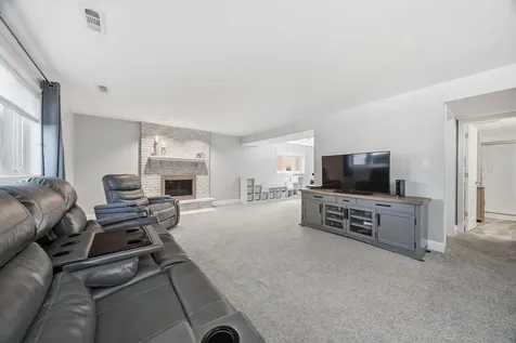 13044 West Morning Glory Court Homer Glen IL 60491