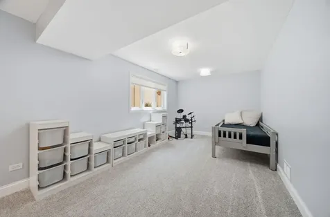 13044 West Morning Glory Court Homer Glen IL 60491