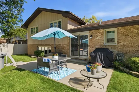 13044 West Morning Glory Court Homer Glen IL 60491