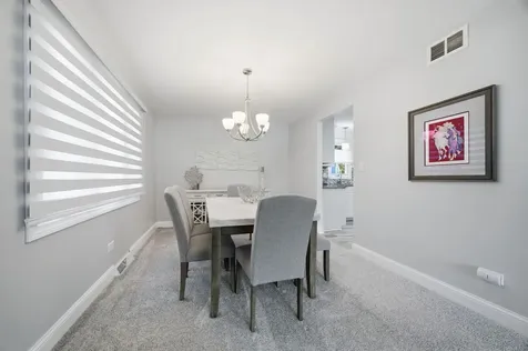 13044 West Morning Glory Court Homer Glen IL 60491