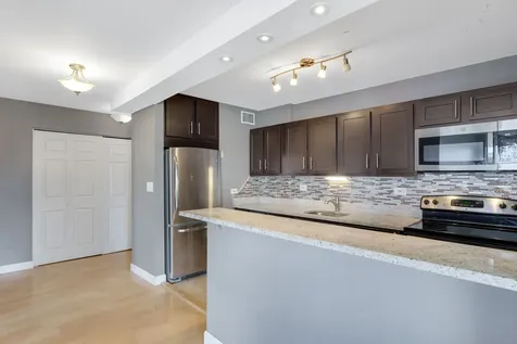 1355 North Sandburg Terrace Chicago IL 60610