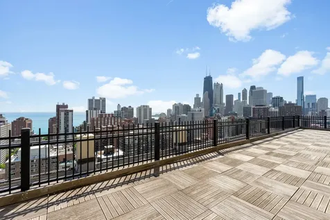 1355 North Sandburg Terrace Chicago IL 60610