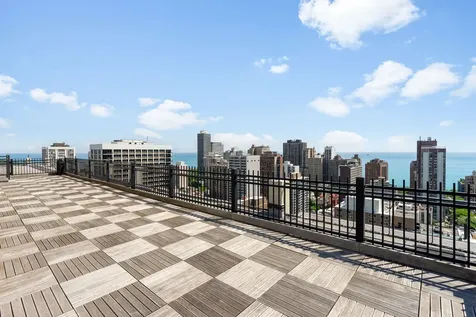1355 North Sandburg Terrace Chicago IL 60610