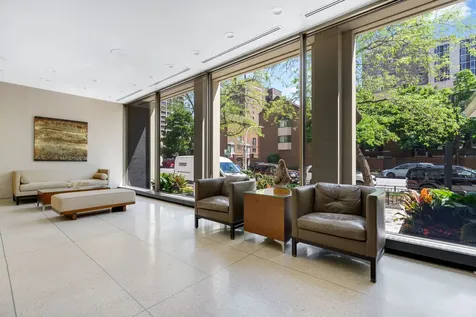 1355 North Sandburg Terrace Chicago IL 60610