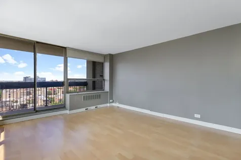 1355 North Sandburg Terrace Chicago IL 60610