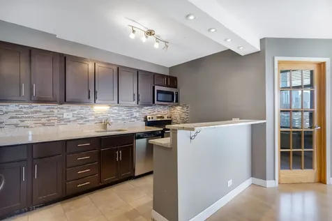 1355 North Sandburg Terrace Chicago IL 60610