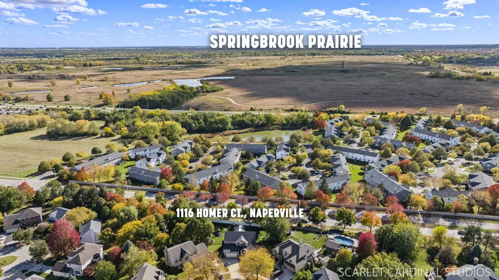1116 Homer Court Naperville IL 60540