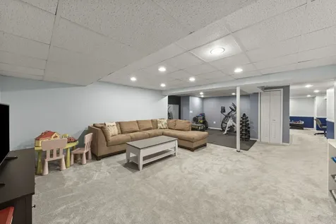 1528 Schumacher Drive Bolingbrook IL 60490