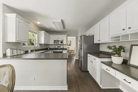1528 Schumacher Drive Bolingbrook IL 60490
