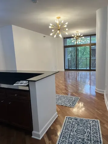 1322 South Prairie Avenue Chicago IL 60605