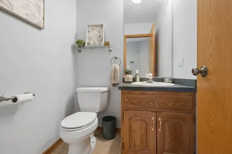 8703 Cashel Lane Tinley Park IL 60487